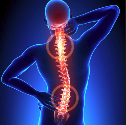ElitePhysios - Visual