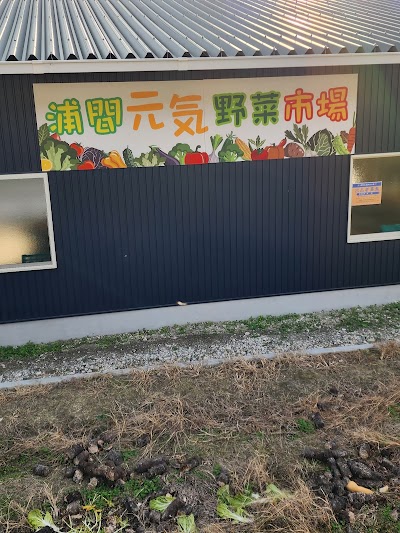 浦間元気野菜市場