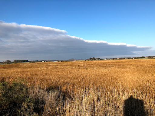 Augustine Wildlife Area - Visual