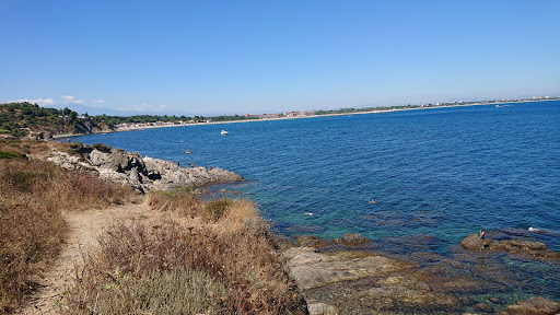Agence du Soleil - Saint Cyprien - Thumbnail