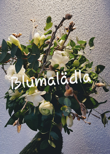 Blumalädla - Thumbnail