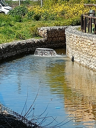 Galeon Park - Visual
