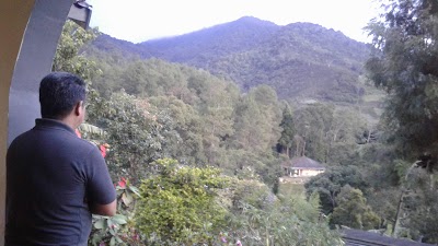Photos of Villa Nadin