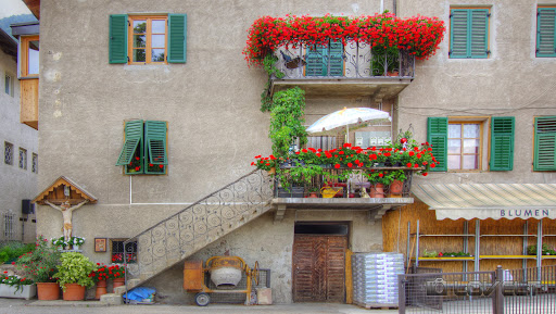 Blumen Pichler