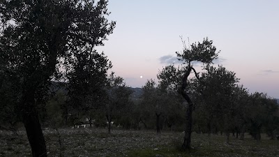 Photos of Residence San Luca