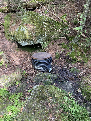 Lovewell Spring - Thumbnail
