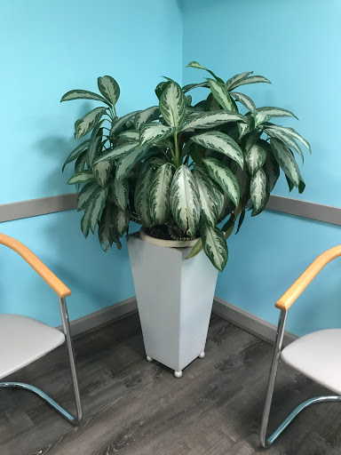 Community Dental Care P.C. - Thumbnail