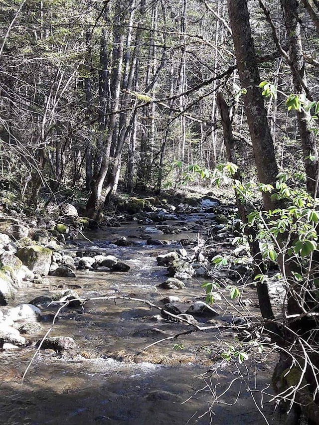 Gresse-en-Vercors