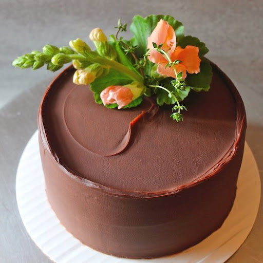 Cake Bloom - Visual