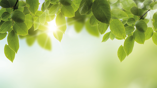 Landesamt für Natur, Umwelt und Verbraucherschutz Nordrhein-Westfalen (LANUV)