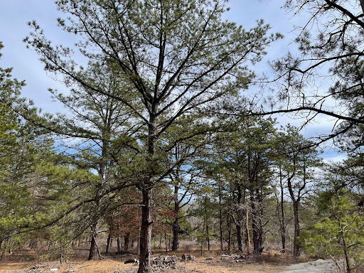 Pine Meadows - Visual