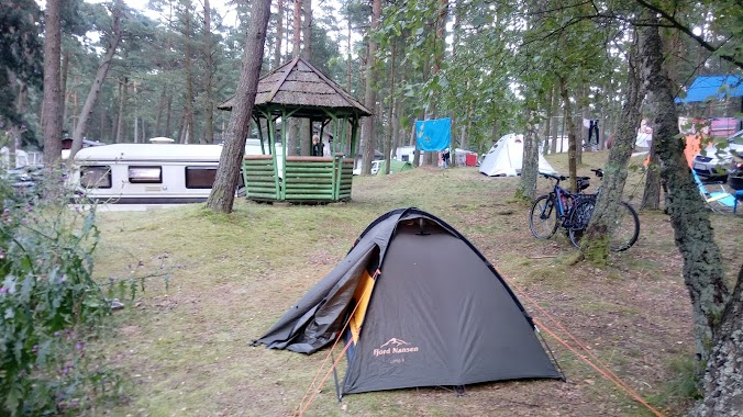 Camping Gdańsk Sobieszewo Eagle, Author: Slawek Jackowski