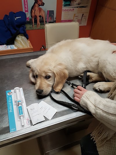 Photos of Alpha-Vet Animal Hospital