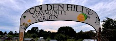 The Golden Hill Community Garden bristol