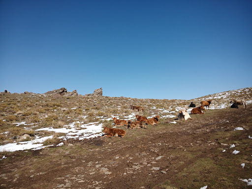 Lavaderos de La Reina. Sierra Nevada. - Thumbnail