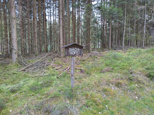 Bachhöfe - Visual