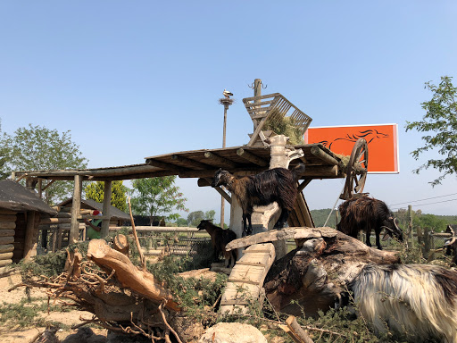 laren safari park kusadasi destimap destinations on map