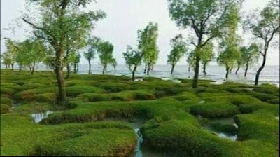 Photos of Sitakunda Municipality