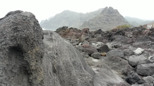 CRFS La Tahonilla (Centro Recuperación Fauna Silvestre) - Thumbnail