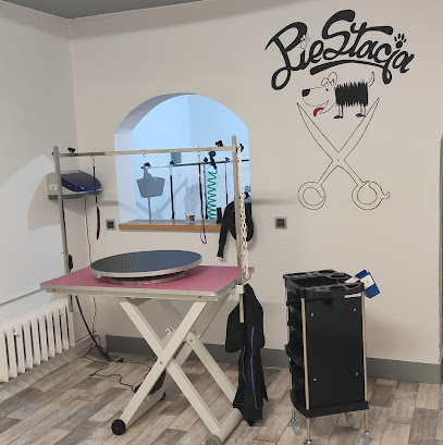 PieStacja
