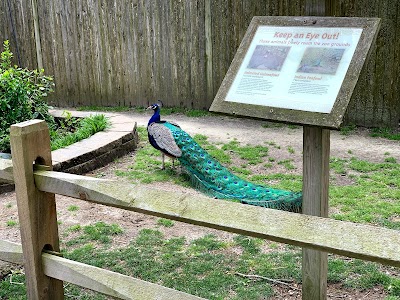 World of Birds Aviary