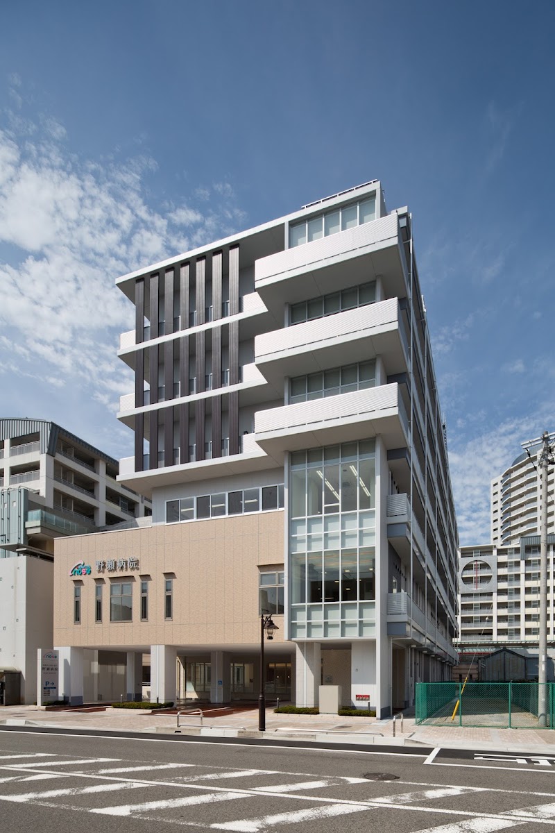 医療法人社団 十善会 野瀬病院