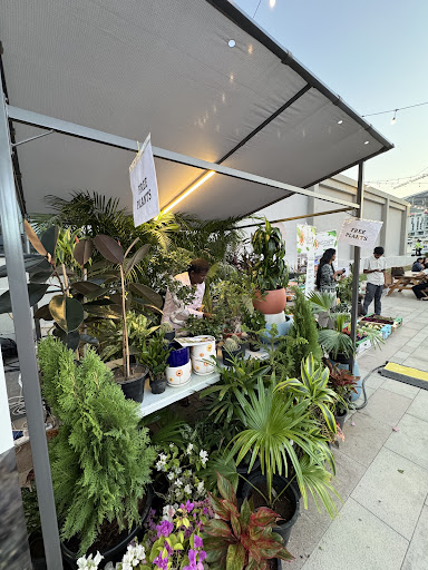 Gallery image 6
