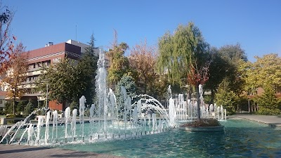 havuzlu park