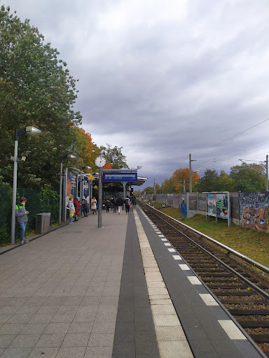 Lankwitz - Visual