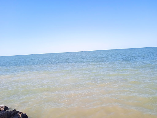 Pescaderia San Pedro - Thumbnail