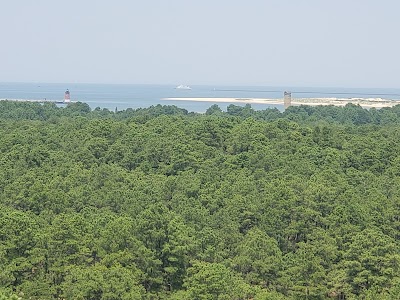 Cape Henlopen State Park