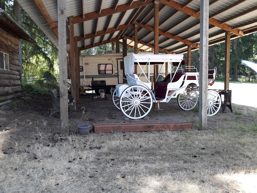 Bar D Ranch - Visual