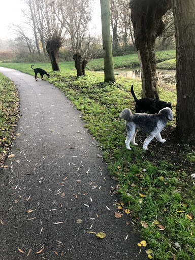 Jones & Paws Gallery - Netherlands