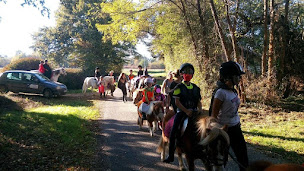 Photo n°11 de Centre Equestre Equileuk à Larée (Centre équestre)