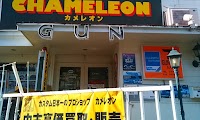 カメレオン