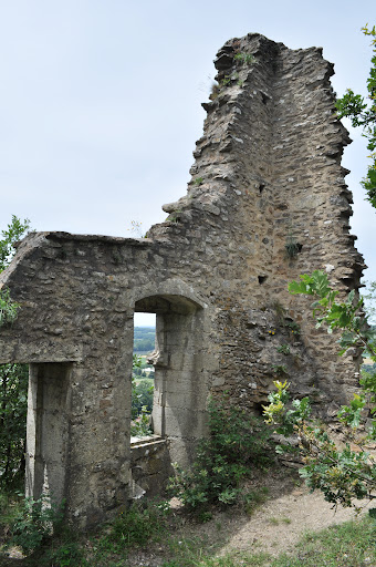 Photo de Château de Saint Sorlin à Saint-Sorlin-en-Bugey (01150)