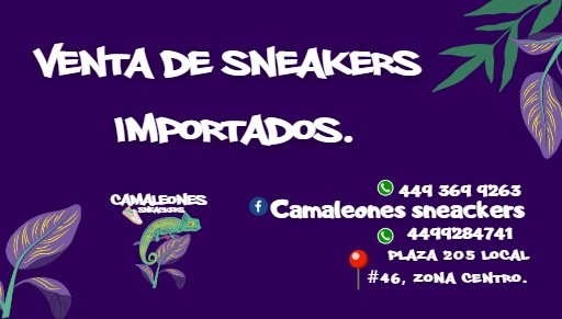 Camaleones sneacker - Visual