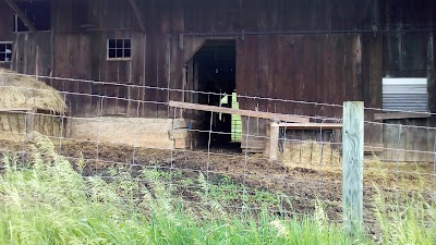 Photos of Herns Mill Historic Covered Bridge