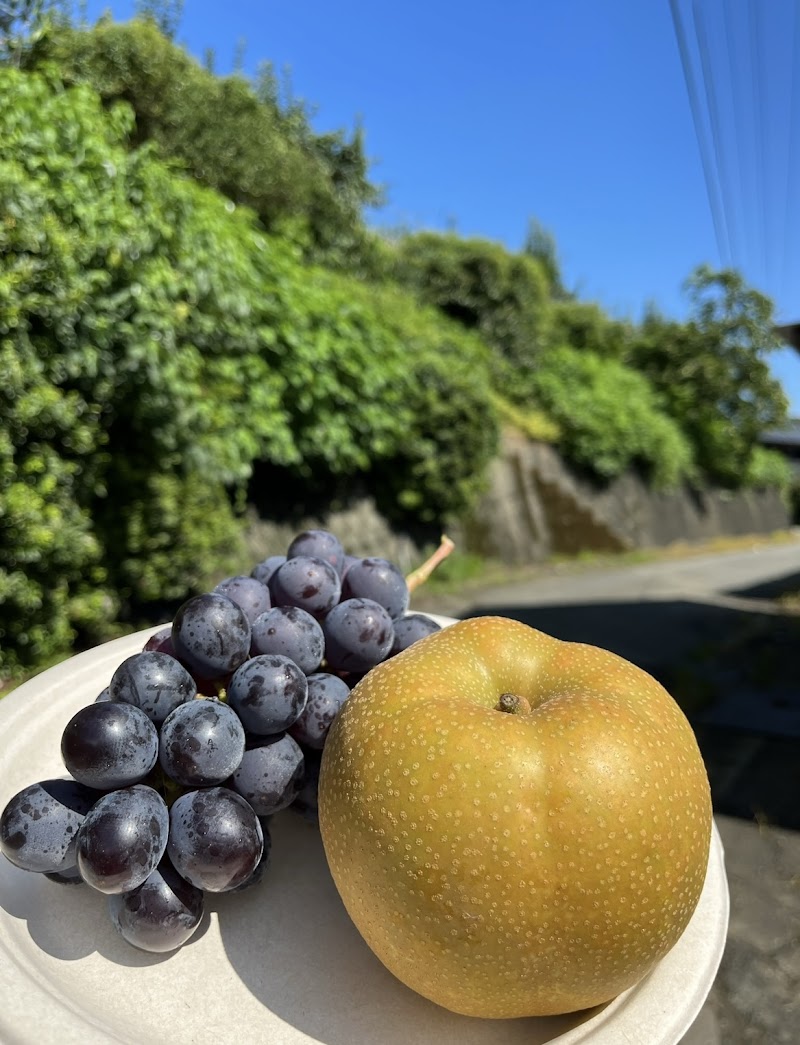 フルーツガーデン虹色