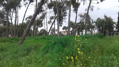 Photos of G&ouml;zl&uuml;kule mound