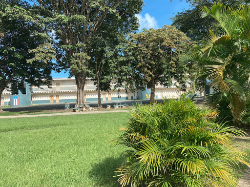 Campus Educativo del Colegio María Auxiliadora - Thumbnail