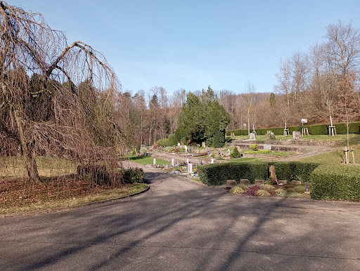 Michelbacher Friedhof Gallery - Germany
