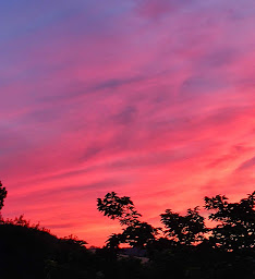 Photo n°9 de Le Wigwam du Fassac à Saint-Julien-du-Puy (Hébergement d'intérieur)