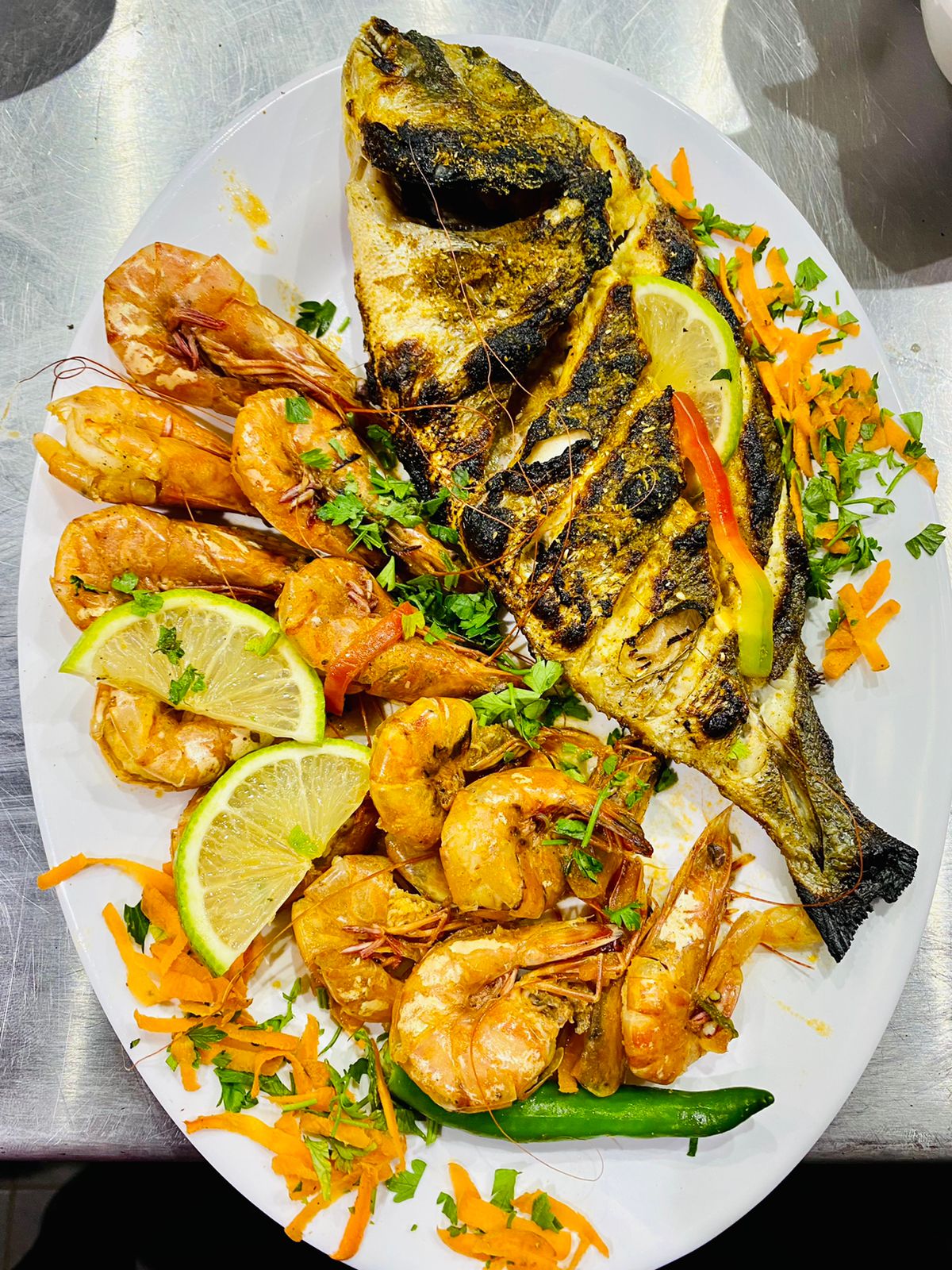 اسماك الدولفين - صورة 3