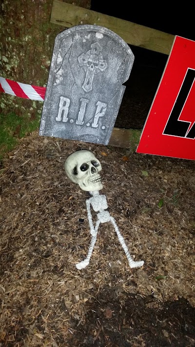 Photos of Ape Mann Adventure Park