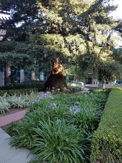 Redwood City Hall