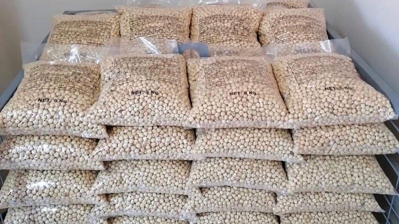 APEX Bonn Haselnuss Großhandel Nusslieferant İmporter