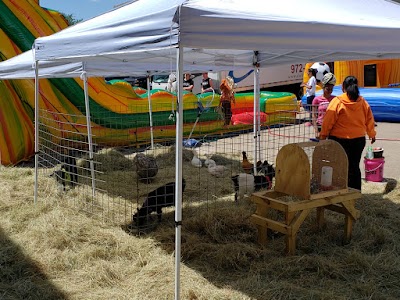 Petting Barn - Fort Worth Zoo