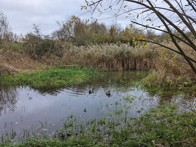 Comments and reviews of WWT Slimbridge