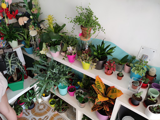 Mara Floristería - Thumbnail